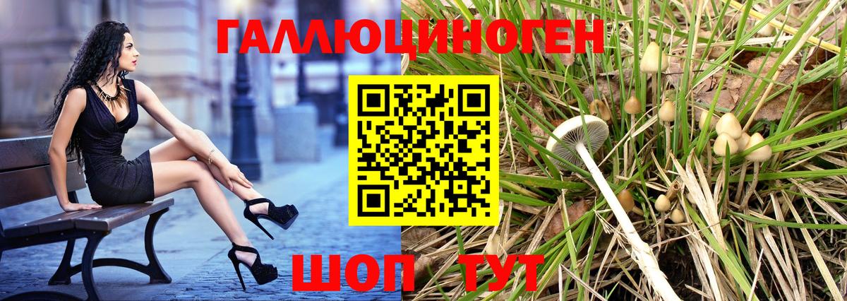 Псилоцибиновые грибы Psilocybine cubensis  Вход с VPN  Богородск 