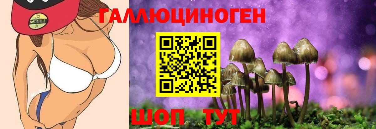 Псилоцибиновые грибы Magic Shrooms Богородск